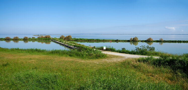 valli di comacchio