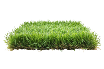 Square of green grass turf
