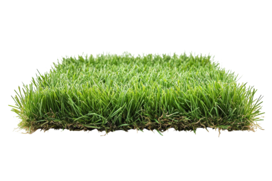 Square of green grass turf