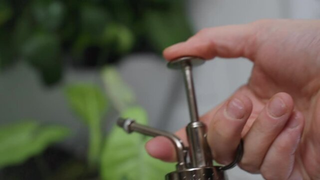 Close up shot of female hands pressing spray bottle trigger to mist indoor plant foliage with fine water droplets for hydration and gentle botanical care routine in calm home environment