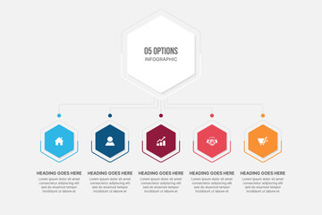 Infographic Template Design With 5 Steps, Process Workflow Diagram