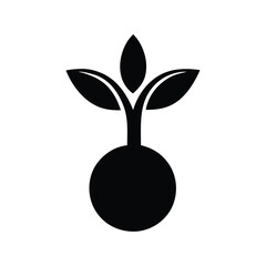 plant in a black pot