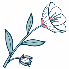 Black and white floral design with vintage flower and leaf pattern illustration