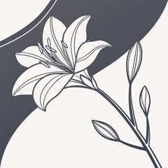 Black and white floral design with vintage flower and leaf pattern illustration