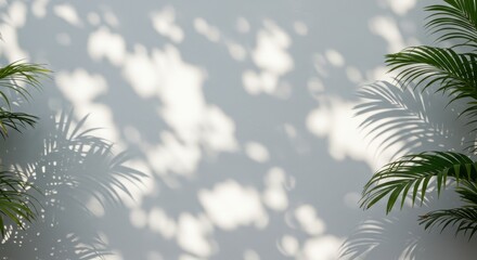 Obraz premium A sundappled wall adorned with palm fronds creating a play of light shadow
