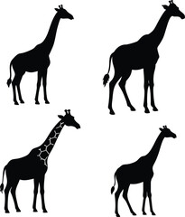 Minimalist Giraffe Silhouette | Vector Art | Black and White | High Contrast Illustration