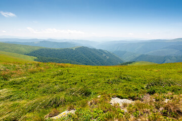 green meadow in mountain with clouds on the sky. vacation season. nature landscape of ukraine carpathians in summer. great travel scenery of transcarpathia. scenic view of hills rolling in to horizon