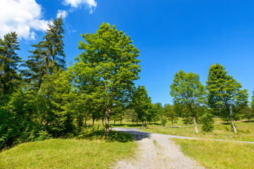 gravel country road in carpathian mountain. beautiful outdoors for weekend adventures in highlands. sunny day with clouds on the blue sky in summer