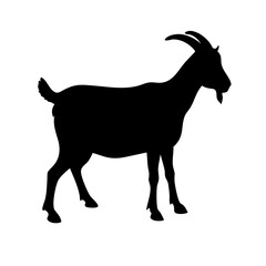 Goat black silhouette icon PNG