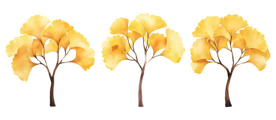 Watercolor painting of three ginkgo trees with vibrant yellow autumn leaves isolated on transparent background