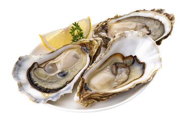 A close up shot of three oysters on a plate with a lemon wedge and parsley garnish on top of the plate