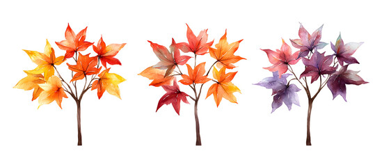 Watercolor painting of three maple trees with vibrant autumn leaves in shades of yellow, orange, and purple isolated on transparent background