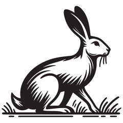 vector illustration of a bunny