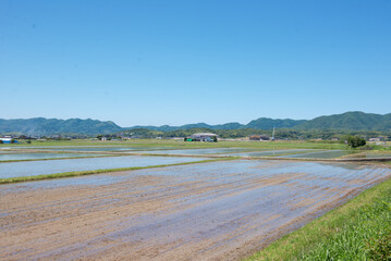 田園風景