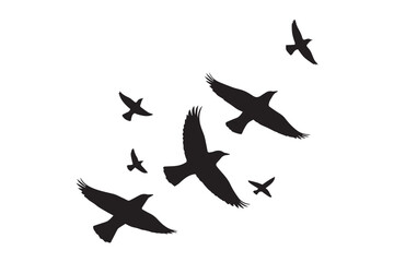Fototapeta premium High-quality vector illustration of multiple birds in a black silhouette, captured in mid-flight. Isolated on a white background