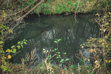 autumn river in the countryside