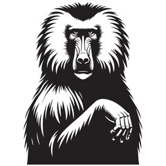 lion vector illustration