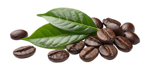 Coffee Beans with Leaves, Isolated on Transparent Background, High-Res Image, Product Photography, Coffee, beans, leaves