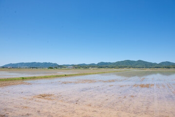 田園風景