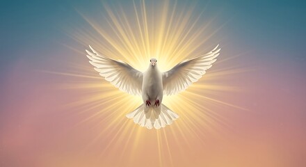 A white dove with outstretched wings radiating light against a gradient background