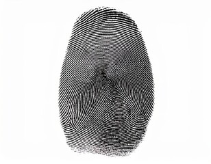 Black Ink Fingerprint Isolated on White Background for Identification or Biometric Concept