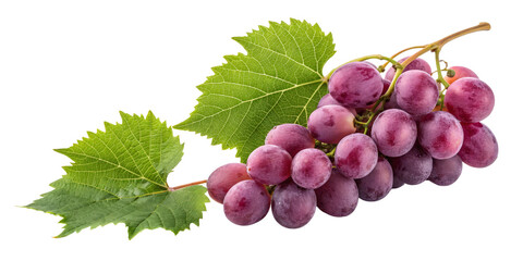 Obraz premium Red Grape Bunch with Leaves Isolated on Transparent Background, Vine, Fruit, Food
