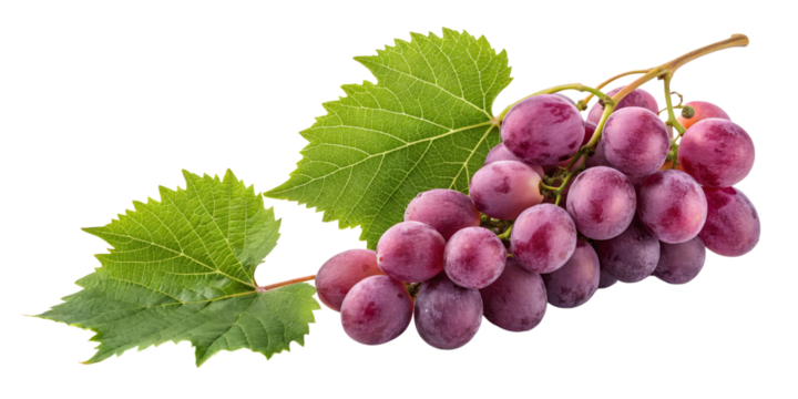 Red Grape Bunch with Leaves Isolated on Transparent Background, Vine, Fruit, Food