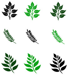 Plants vector-6