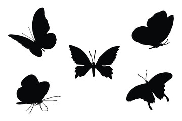Butterfly black and white silhouettes. Butterfly vector set