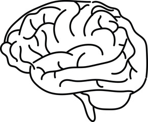 Detailed Outline of Human Brain Illustration