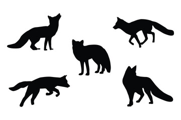 A black and white fox illustration. Fox silhouettes black vector
