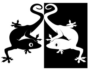 Obraz premium black and white twin gecko