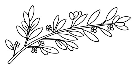olive branch with flowers outline vector © Anna