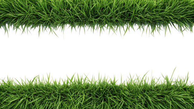 Freshly cut green grass bordering black background for creative design elements