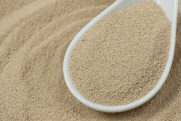 Spoonful of Granular Dry Yeast Close-Up