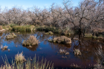 Marais