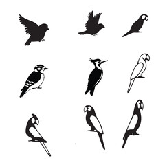  Flying Birds Vector Set 