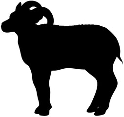 Silhouette Of Dall Sheep Vector