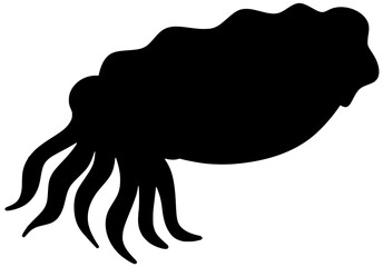 Cuttlefish Silhouette Shadow Vector