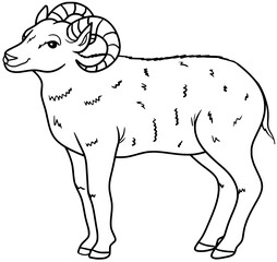 Dall Sheep Vector Outline Line Art Illustration