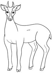 Brocket Deer Vector Outline Line Art Drawing