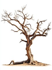 Fototapeta premium Striking Silhouette: A Lone Dead Tree Against a White Canvas, Embracing Nature's Raw Beauty and the Timeless Dance of Life and Decay