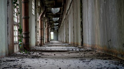 Long abandoned corridor with peeling walls, broken windows and scattered debris
- Powered by Adobe