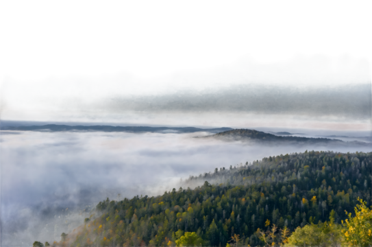 Fog Over Mountain Forest at Sunrise