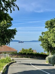 A large ship floats on the still Adriatic Sea, viewed from a winding suburban street framed by green trees and red-tiled roofs in Croatia