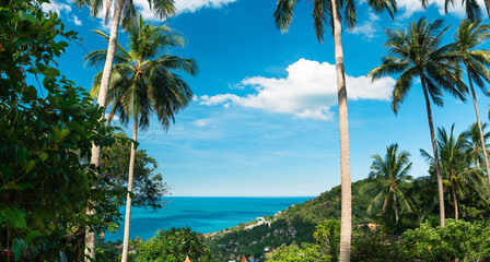 Tropical Paradise: Palm Trees, Breeze, and Azure Sea,vibrant view of a tropical island, seen through the shade of tall, majestic palm trees looking out towards the endless azure sea