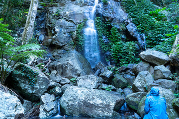 Obraz premium Person in blue jacket admiring waterfall cascading over rocky cliff in lush rainforest