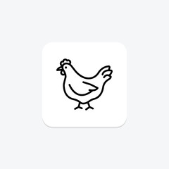 Fototapeta premium Chicken In Organic Farm, vector, pixel perfect, illustrator file