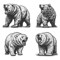 Fototapeta na wymiar Roaring Bear Set collection bundle sketch engraving generative ai vector illustration. Scratch board imitation. Black and white image.
