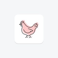 Chicken In Organic Farm, vector, pixel perfect, illustrator file